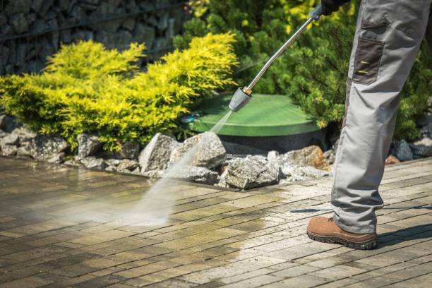Best Vinyl Siding Pressure Washing in Evanston, WY